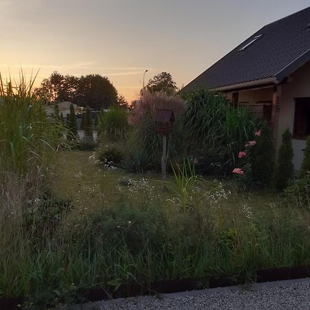 Ptasie Siedlisko Mikołajki 外观 照片